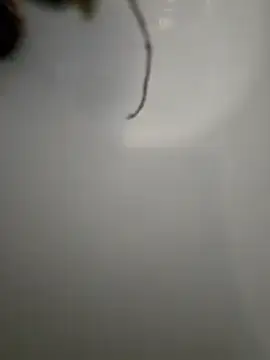 Stripchat Live Sex Cam of Martpi@xh