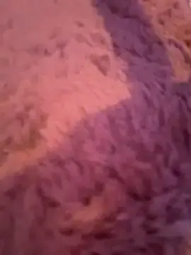 Stripchat Private Sex Chat of Terribletabby